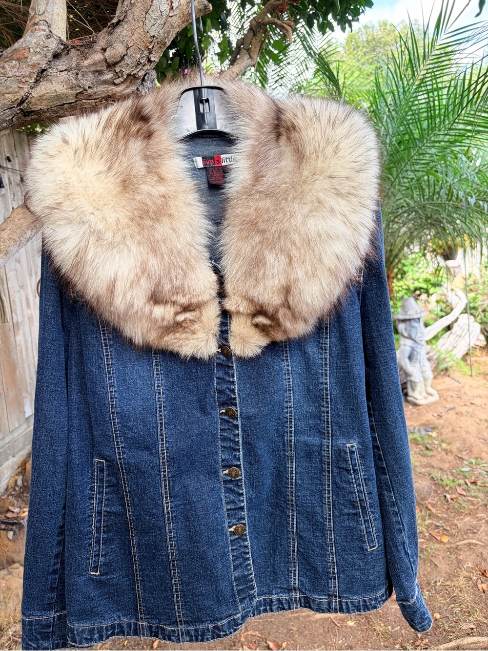 Fluffy Fox Fur Collar Gorgeous Markings Rocker Style